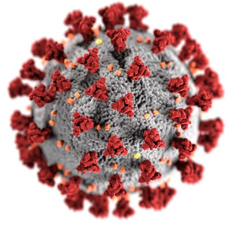 Koronavirus - aktuální informace