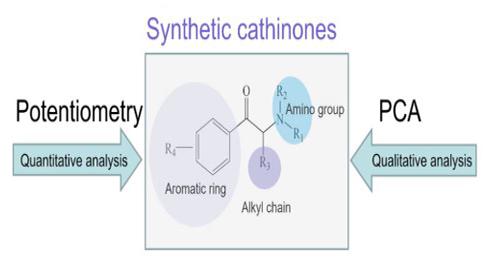 Electroanalysis