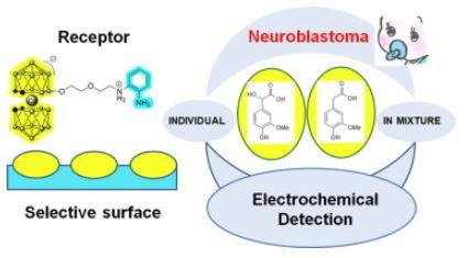 Journal of Electroanalytical Chemistry